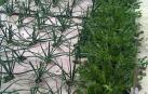 La lucha contra las plagas en la agricultura ecol&oacute;gica, en el Museo de Educaci&oacute;n Ambiental