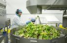 Florette Ibérica facturó 155 millones de euros en 2015 y creció un 7%