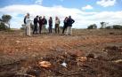 Los pinos talados en Tudela eran “artificiales” y no cumplían su función