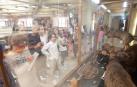 El público podrá visitar por primera vez el Museo de Ciencias Naturales de la UN