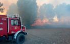 Detenido un tren en Tafalla por varios incendios entre Castejón y Marcilla