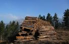 Tocar madera