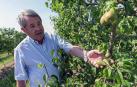 El granizo causa graves daños en los cultivos de la Ribera