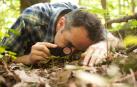 La naturaleza fascina 'en un metro de bosque'