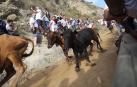 El cuarto encierro del Pilón de Falces