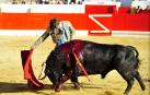 Seis utreros de 'Pincha' abren la feria de novillada de Peralta