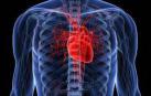 ¿Qué es la cardiopatía congénita del 'corazón al revés'?