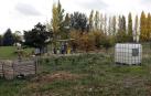 Armando Cuenca niega  que haya “dejadez” en el huerto de Mendillorri