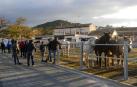 Imágenes de esta actividad en la localidad navarra.