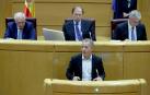 El portavoz del PSOE, Ander Gil, en el Senado
