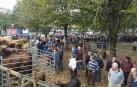 Elizondo se va de feria