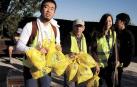 Cada 4 meses, voluntarios japoneses recorren las cunetas de la ruta jacobea en Navarra para recoger basura. Así se vive una etapa a su lado