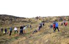 Concluyen las obras de restauración forestal del incendio de Tafalla