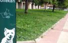Alsasua reedita el bando de perros que obliga a retirar sus heces