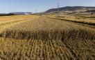 Un clima muy adverso deja en el campo indemnizaciones por 16 millones en Navarra