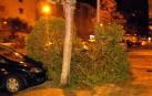 Cristales rotos y arboles y señales caídos: el viento causa múltiples daños en Pamplona