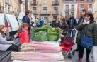 El cardo rojo, el gran protagonista en Corella