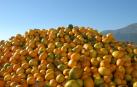 Baleares prohibirá tirar alimentos en buen estado