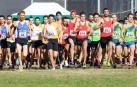 Imágenes del Campeonato Navarro de Cross Corto 2018 en Estella