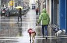 Los veterinarios abogan por censar con ADN a los perros de toda Navarra