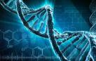 ​Usan ADN para fabricar el termómetro más pequeño del mundo