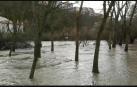 El río Arga, desbordado en la Rochapea