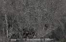 Vuelve el crudo invierno a Navarra este lunes