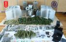 Dos detenidos y desmantelado un laboratorio de cultivo y tráfico de marihuana