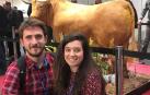 Un toro disecado por el pamplonés Javier Celay, premiado en Austria