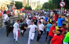 Dos empresas optan a organizar los festejos taurinos de fiestas de Tudela