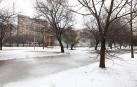 Fotografías de la nevada caída en Pamplona durante la noche y la madrugada del 31 de enero y el 1 de febrero.