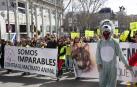 Cientos de personas se manifiestan en Madrid por la defensa del lobo ibérico