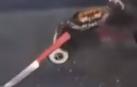 El vídeo que se ha hecho viral de un cangrejo luchando con un cuchillo