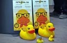 20.000 Patos de goma geolocalizados competirán en el río Arga