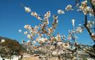 La primavera, retratada por los lectores de Diariodenavarra.es.