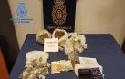 Detenido el presidente de una asociación cannabica por tráfico de drogas