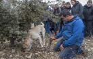 La trufa de Metauten: un plan para esta Semana Santa