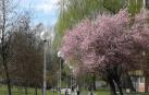 Temperaturas suaves y riesgo de chubascos desde este martes en Navarra