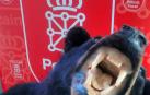 Detenido en Tudela por llevar en el maletero un oso  protegido disecado