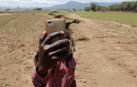 Aparece una enorme grieta en Kenia que podría dividir África en dos