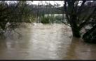 El río Arga, a la altura del CD Amaya.