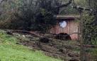 Un niño de 5 años, herido grave por la caída de un árbol en San Sebastián