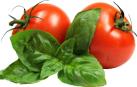 Tomates