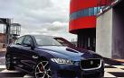 Jaguar 'ruge' en Navarra