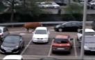 Abatido con un disparo un buey que andaba suelto por Llodio