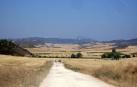 Detenido en Los Arcos por abusos a dos peregrinas del Camino Santiago