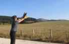 El Centro de Ilundáin de recuperación de fauna atendió a 704 animales