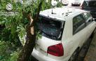 La caída de una rama daña dos vehículos estacionados en la calle Juan de Labrit