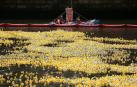Salen a la venta los boletos para la Estropatada en el río Arga
