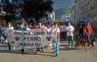 Alsasua recupera el servicio de recogida de animales abandonados